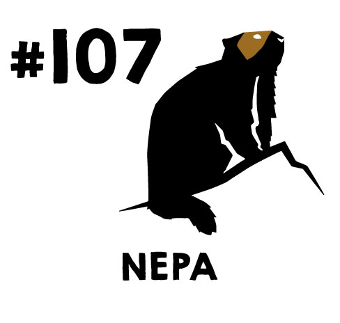[Epuisé] Brassin #107 – NEPA