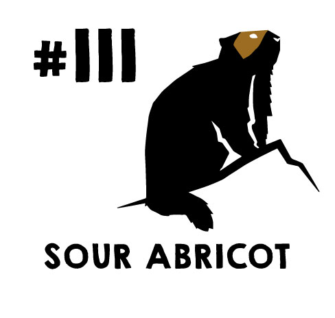 [Epuisé] Brassin #111 – Sour Abricot